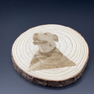 Natural Wood Coasters (Set of 4)